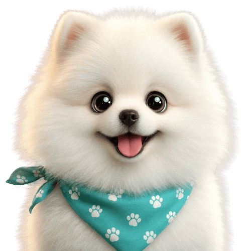 Cachorro pomerania blanco con pañuelo turquesa